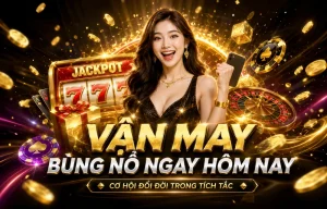 Casino live
