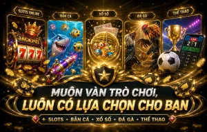 wolfmailboxes giao diện mobile